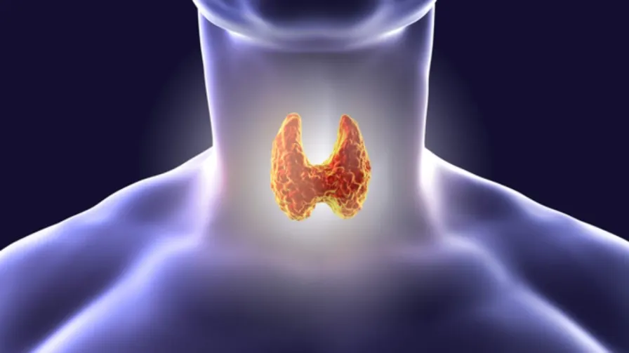 Thyroid in Hindi